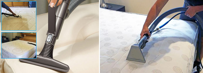 Best Mattress Cleaning Services Research