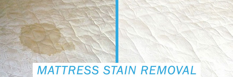 Mattress Stain Removal Services North Arm