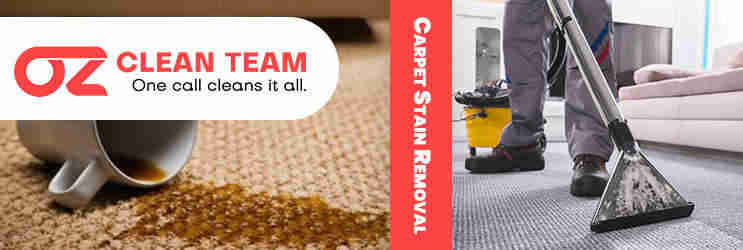 Carpet Stain Removal Services