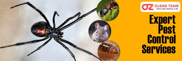 Expert Pest Control Canberra