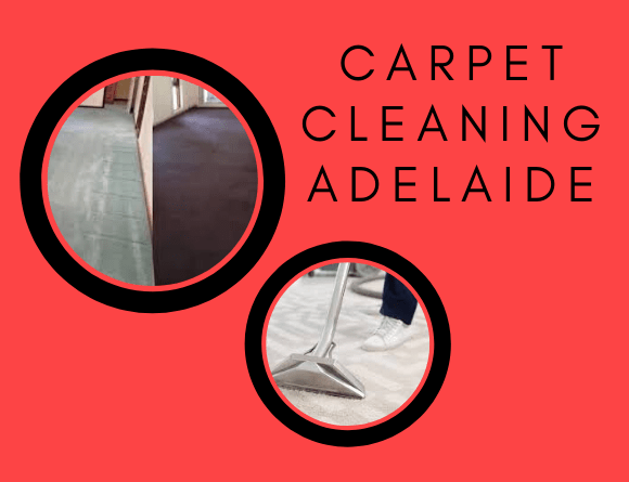 Best Carpet Cleaning Adelaide Services
