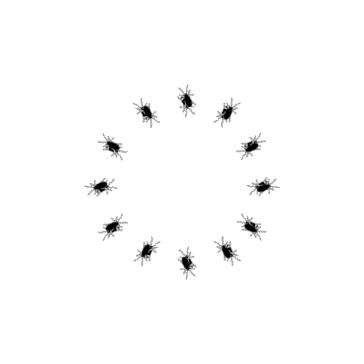 Ants Pest Control Brisbane