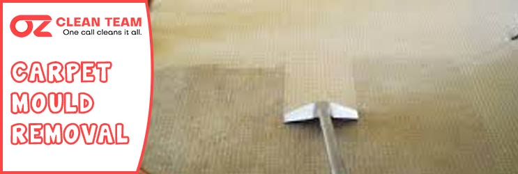 Carpet Mould Removal Kingswood