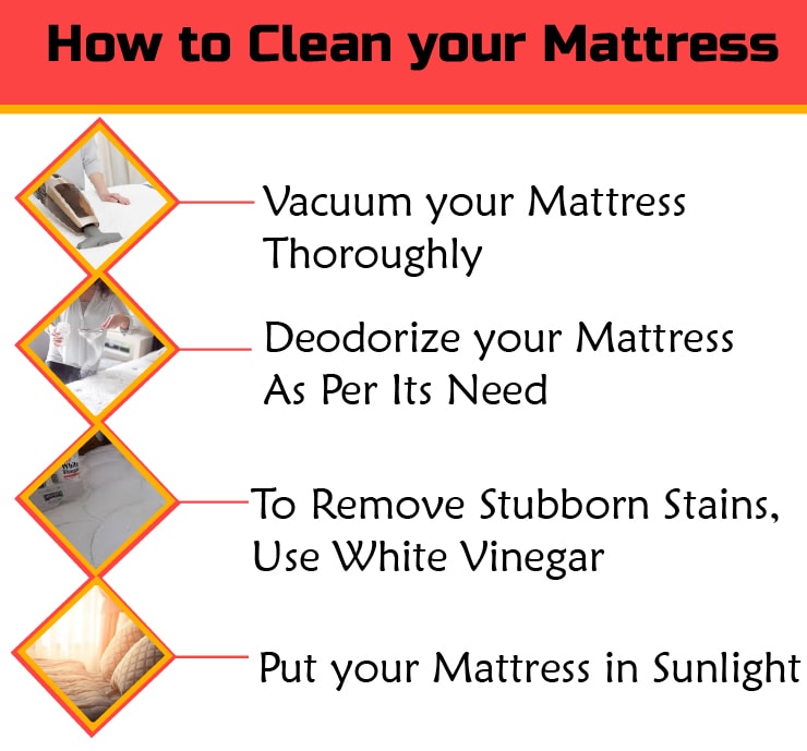 Mattress Cleaning Service