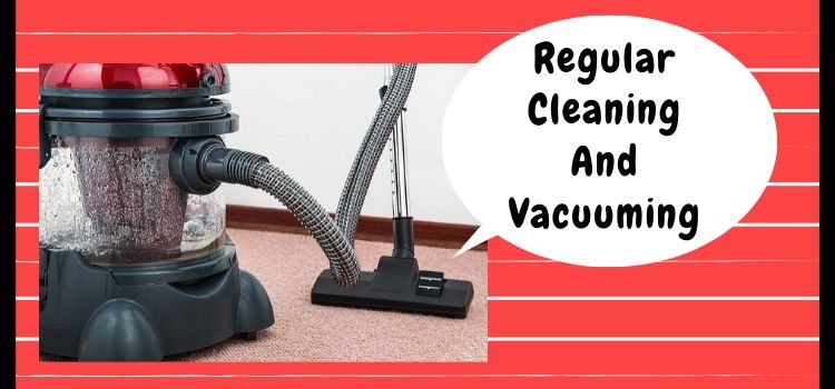 Regular Carpet Cleaning And Vacuuming