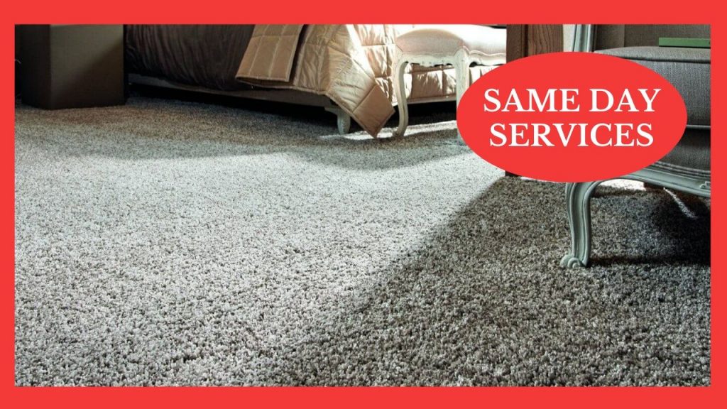 Carpet Cleaning Same Day Services