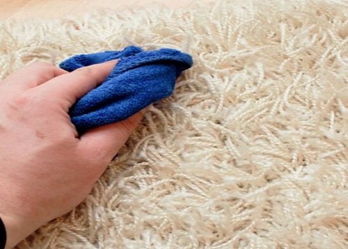 Carpet Sanitisation Service