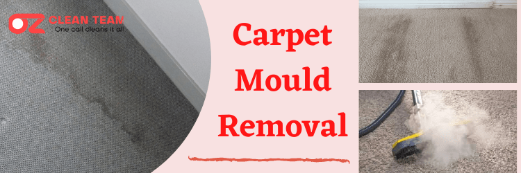 Carpet Mould Removal 