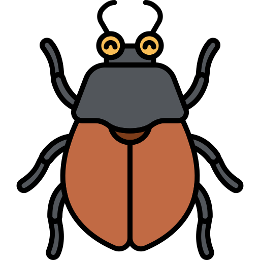 Beetles Control